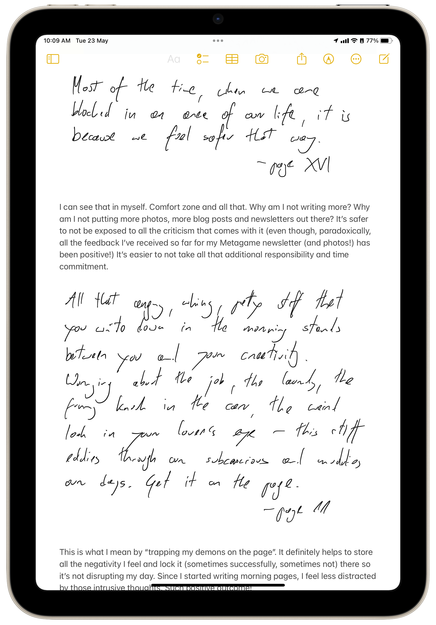 iPad mini screenshot with notes example #2